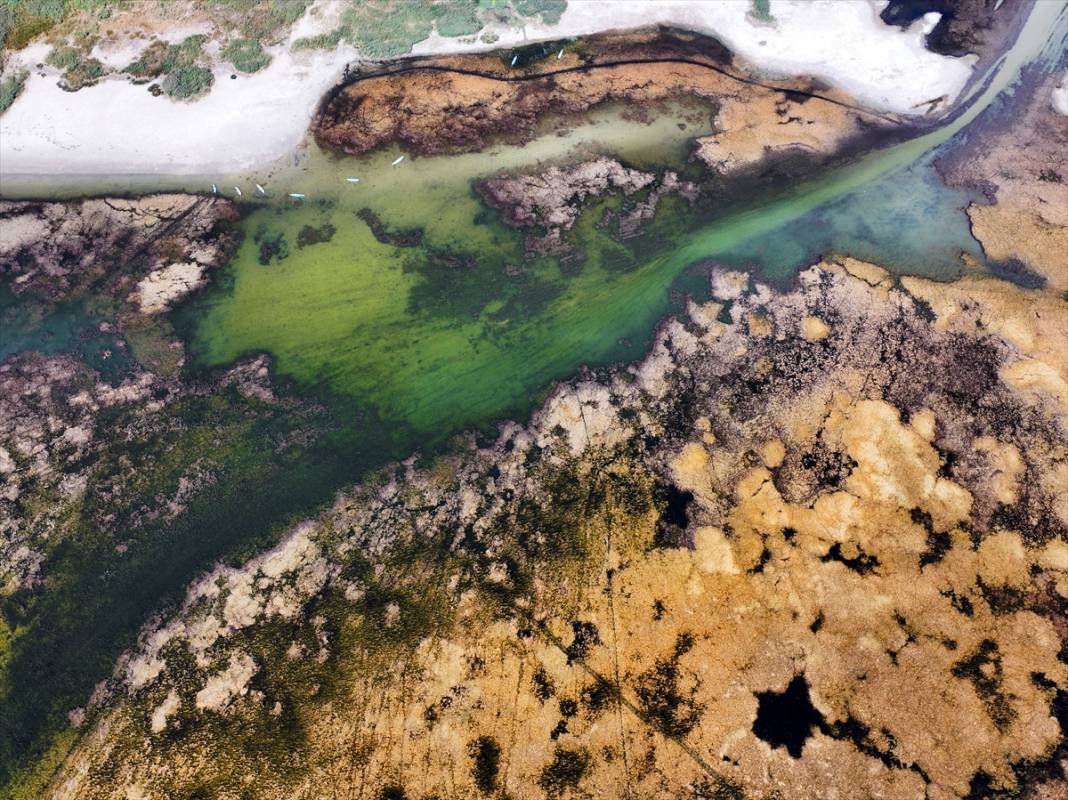 Rakamlar hiç bu kadar korkutmamıştı! Konya çölleşiyor 21